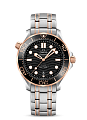 Omega Seamaster Diver 300m  OM21020422001001