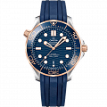 Omega Seamaster Diver 300M 21022422003002